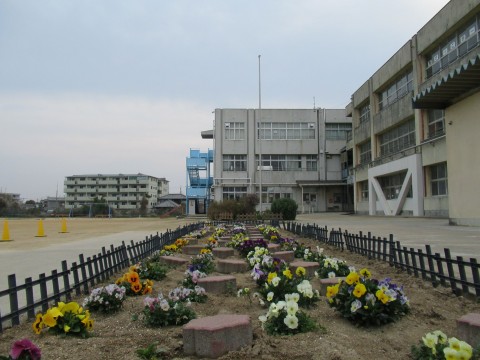 ①通用門からの花壇IMG_0173