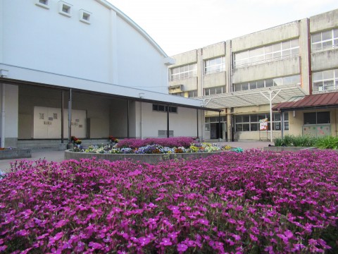 ②花壇